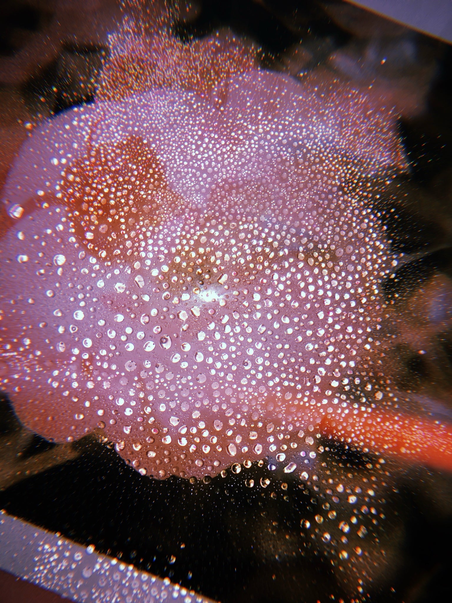 Oilless Oil Free Moisturizer